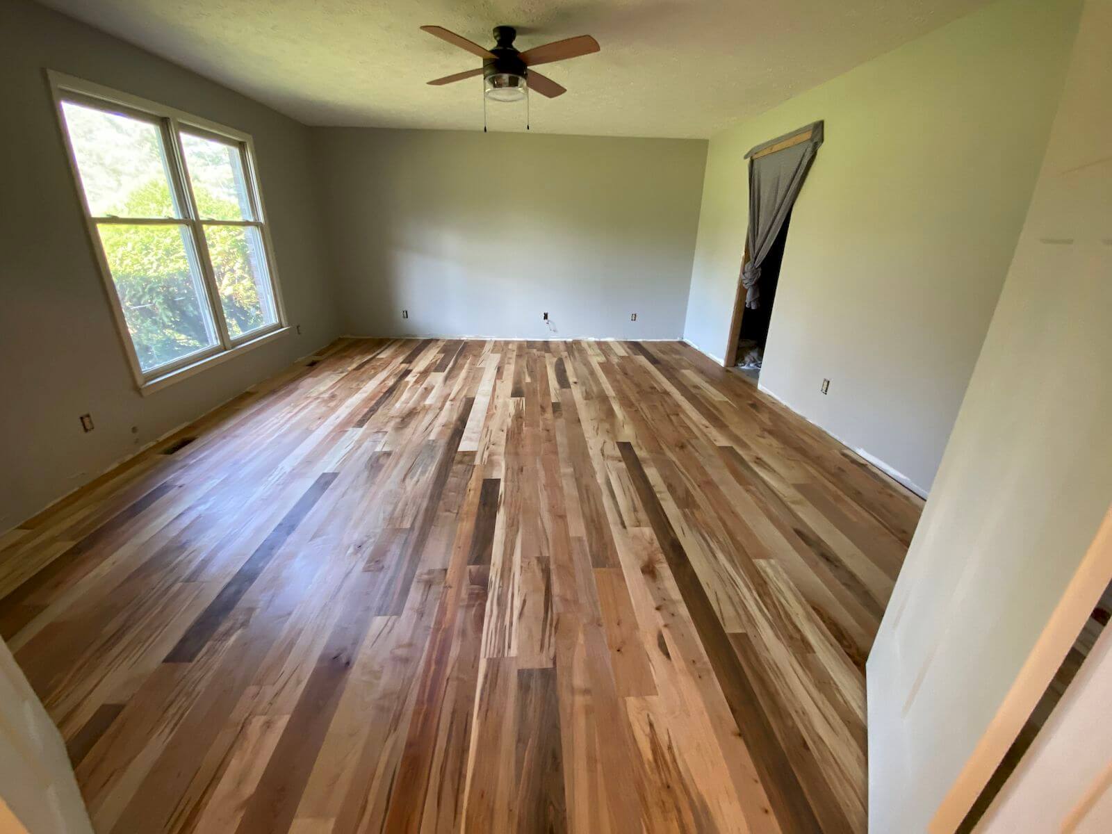 T G Ambrosia Soft Maple Natural, Wormy Soft Maple Flooring